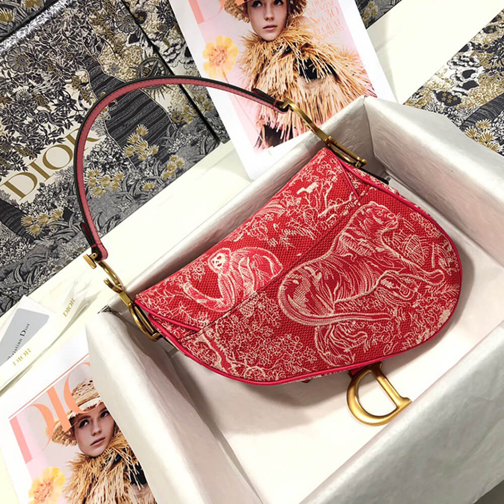 Dior SADDLE BAG - Image 4